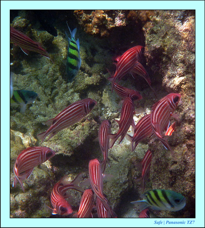2013 - 01 - Koh Kai 10